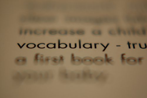 an image of the word vocabulary