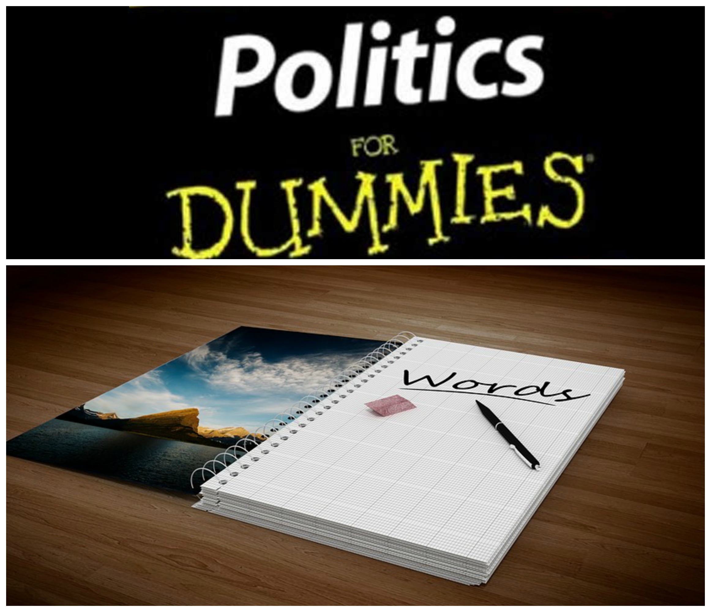 Politics for Dummies: Top 75 Political Terms You Should Know